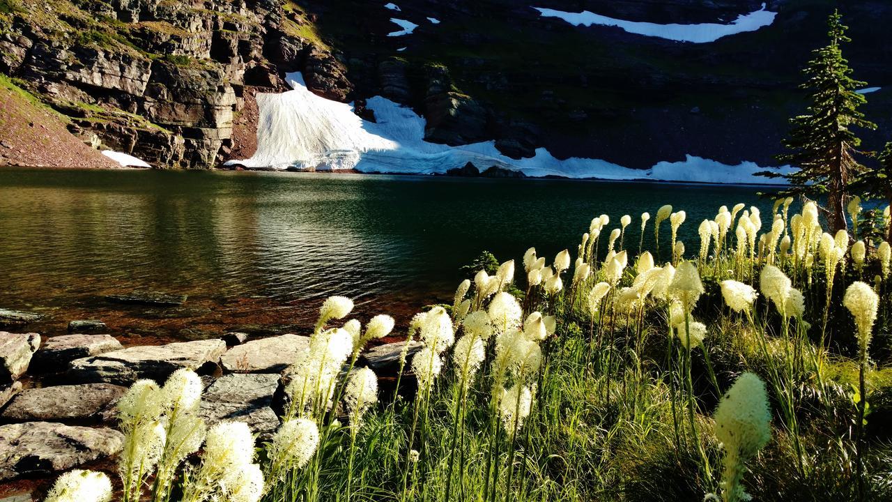 East Glacier Motel & Cabins East Glacier Park Village Bagian luar foto